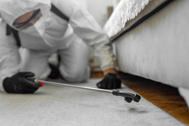 Professional Ant Control technician working in Highgrove, CA